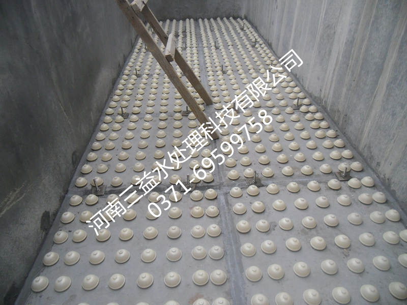 BAFؚV